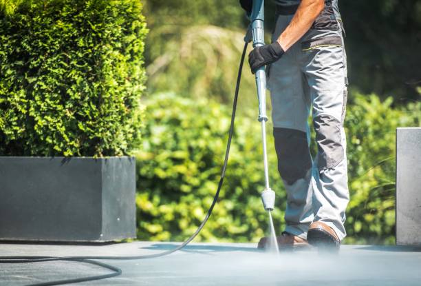 Best Sidewalk and Walkway Cleaning  in Wolfdale, PA