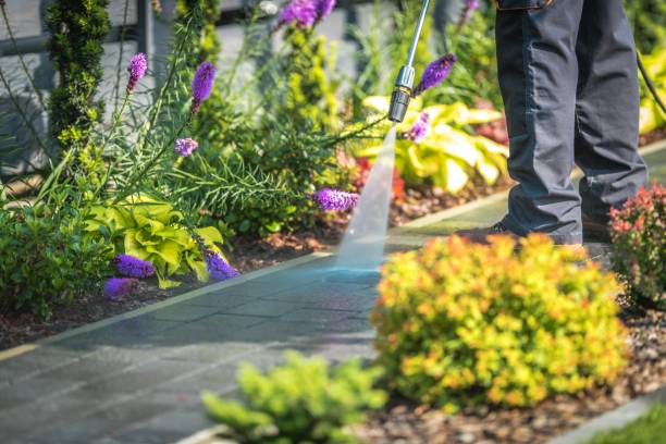 Best House Exterior Washing  in Wolfdale, PA